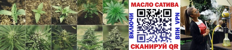 купить наркотики цена  Славгород  ТГК THC oil 