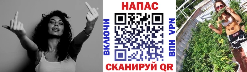 Бошки марихуана гибрид Славгород
